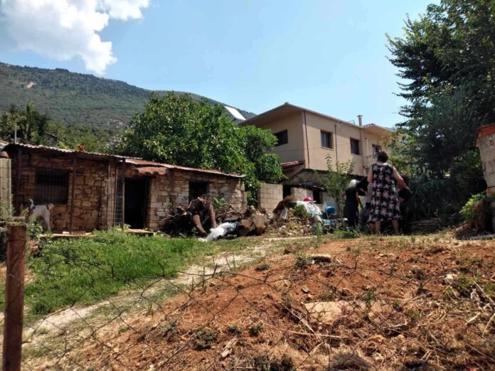ΠΕΡΙΒΛΕΠΤΟΣ ΑΝΘΡΩΠΟΚΤΟΝΙΑ