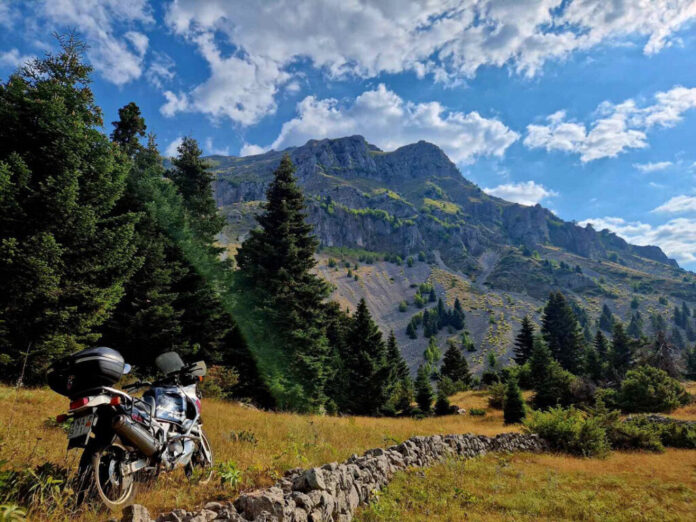 Moto Fest