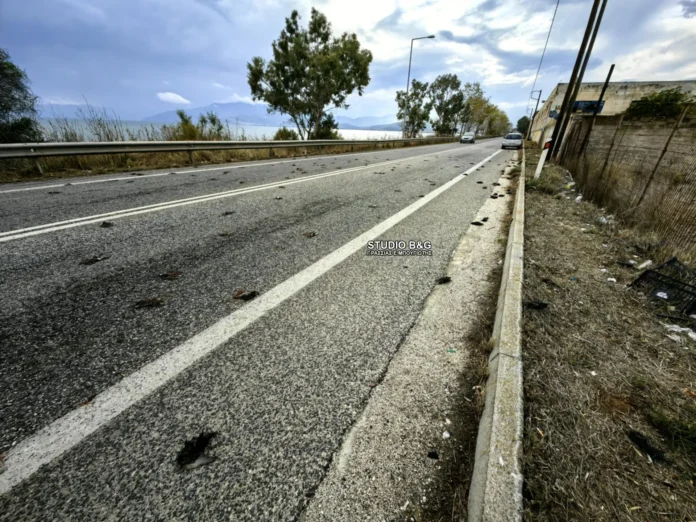 ΝΕΚΡΑ ΠΟΥΛΙΑ ΑΡΓΟΛΙΔΑ