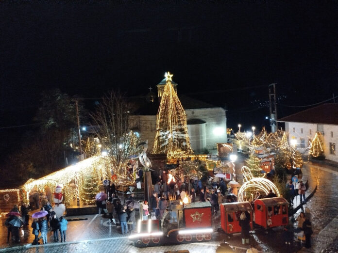 ΔΕΝΤΡΟ ΤΖΟΥΜΕΡΚΑ 2