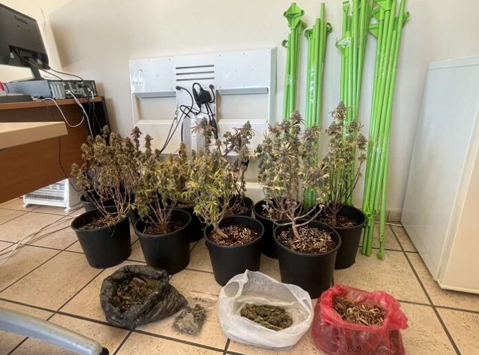 ΚΑΝΝΑΒΗ ΣΠΙΤΙ ΓΛΑΣΤΡΕΣ