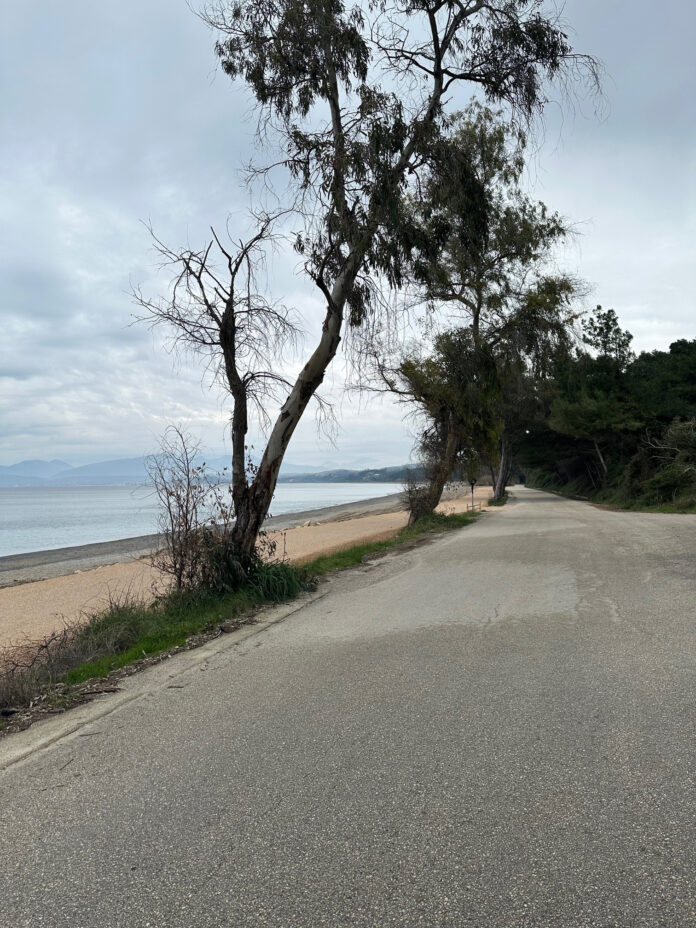 ΠΡΕΒΕΖΑ - ΠΟΔΗΛΑΤΟΔΡΟΜΟΣ1