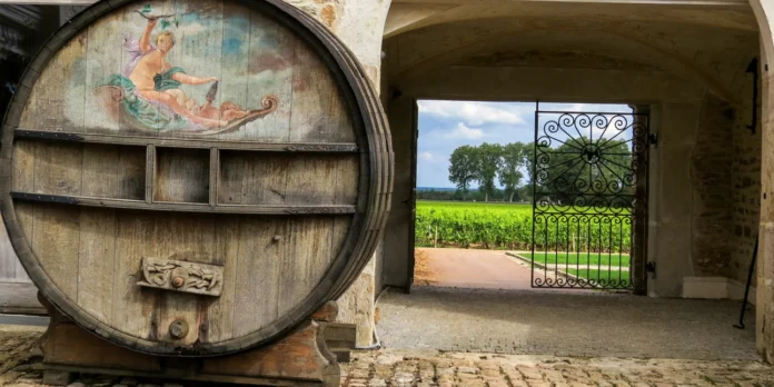 ΓΑΛΛΙΑ ΑΜΠΕΛΩΝΑΣ