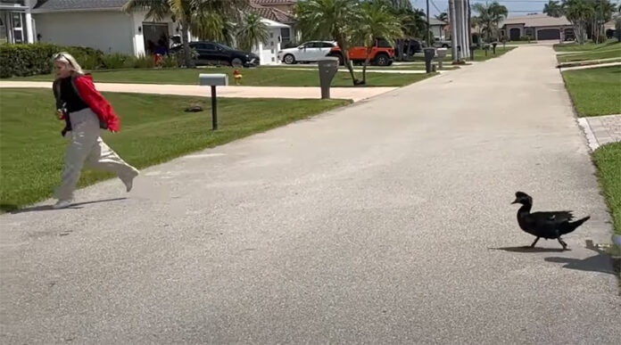 ΠΑΠΙΑ ΦΛΟΡΙΝΤΑ ΡΕΠΟΡΤΕΡ