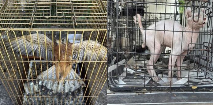 ΕΜΠΟΡΙΟ ΖΩΩΝ