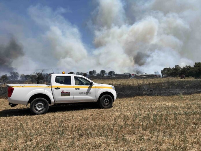 πυρκαγιά πεδινή