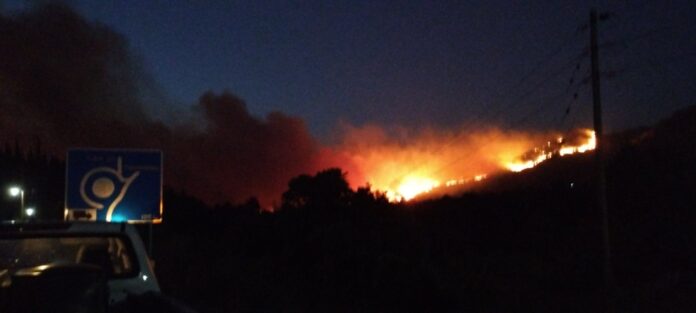 IMG-a798880efe1036ec73458c89a1cfca5c-V