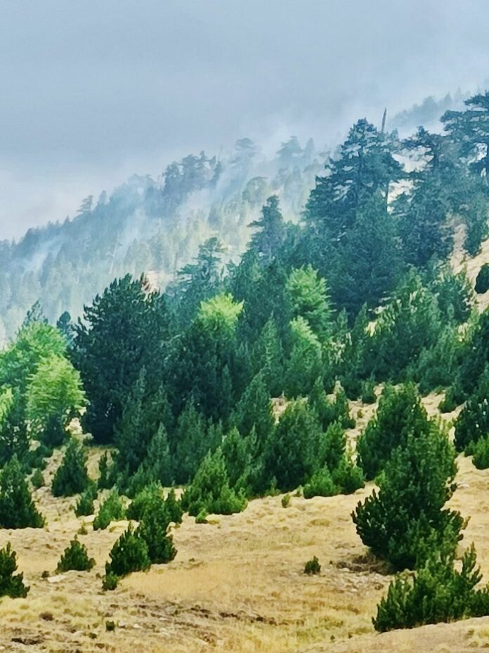 ΒΑΛΙΑ ΚΑΛΝΤΑ ΦΩΤΙΑ