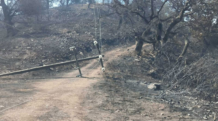 ΦΙΛΙΠΠΙΑΔΑ ΣΤΥΛΟΙ ΔΕΔΗ