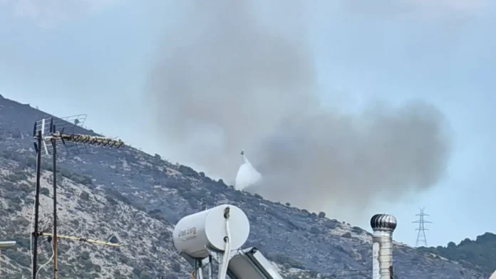 ΦΩΤΙΑ ΒΟΝΙΤΣΑ