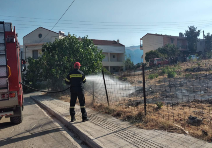 ΦΩΤΙΑ ΕΛΕΟΥΣΑ1