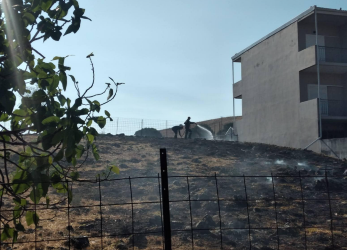 ΦΩΤΙΑ ΕΛΕΟΥΣΑ3