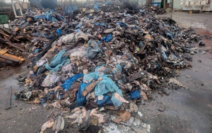 ΡΥΠΑΝΣΗ ΖΩΙΚΑ ΑΠΟΒΛΗΤΑ1