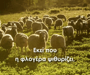spot_img